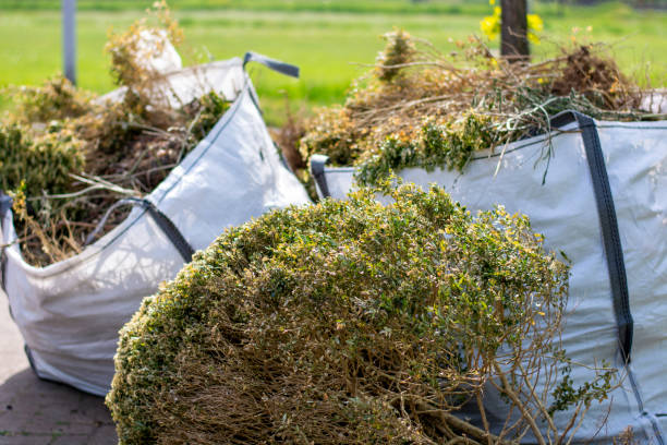 Best Junk Removal for Businesses  in Hilbert, WI